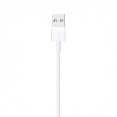 Lightning to USB Cable (1 m)