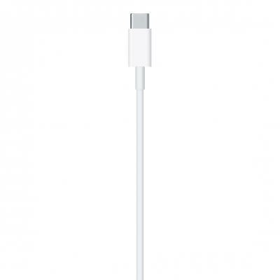 USB-C to Lightning Cable (1 m)