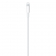 USB-C to Lightning Cable (2 m)