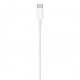 USB-C to Lightning Cable (2 m)